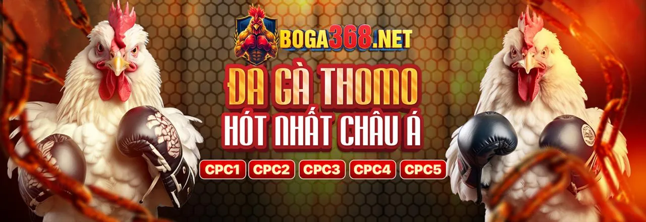 Đá gà trực tuyến kịch tính tại Lucky888 trang chủ chính thức